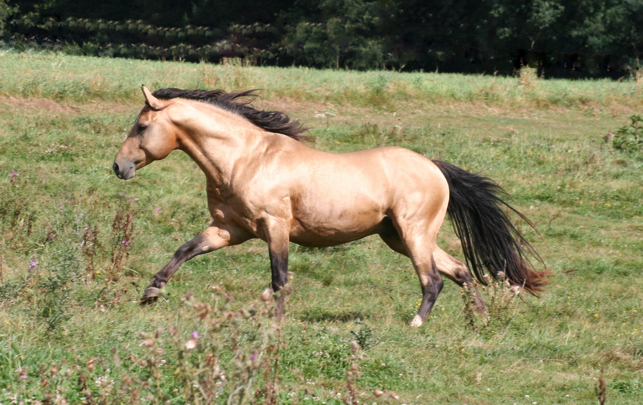 Es ist alles Gold, was glänzt